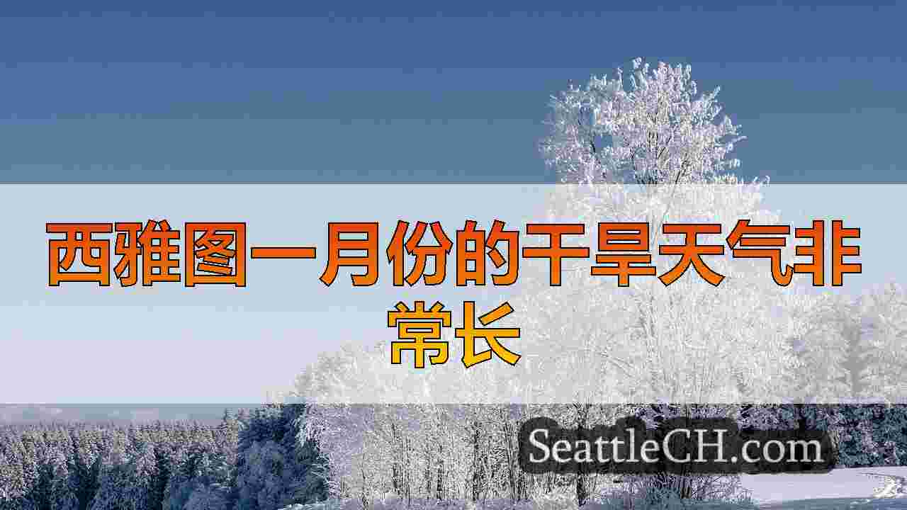 西雅图一月份的干旱天气非常长
