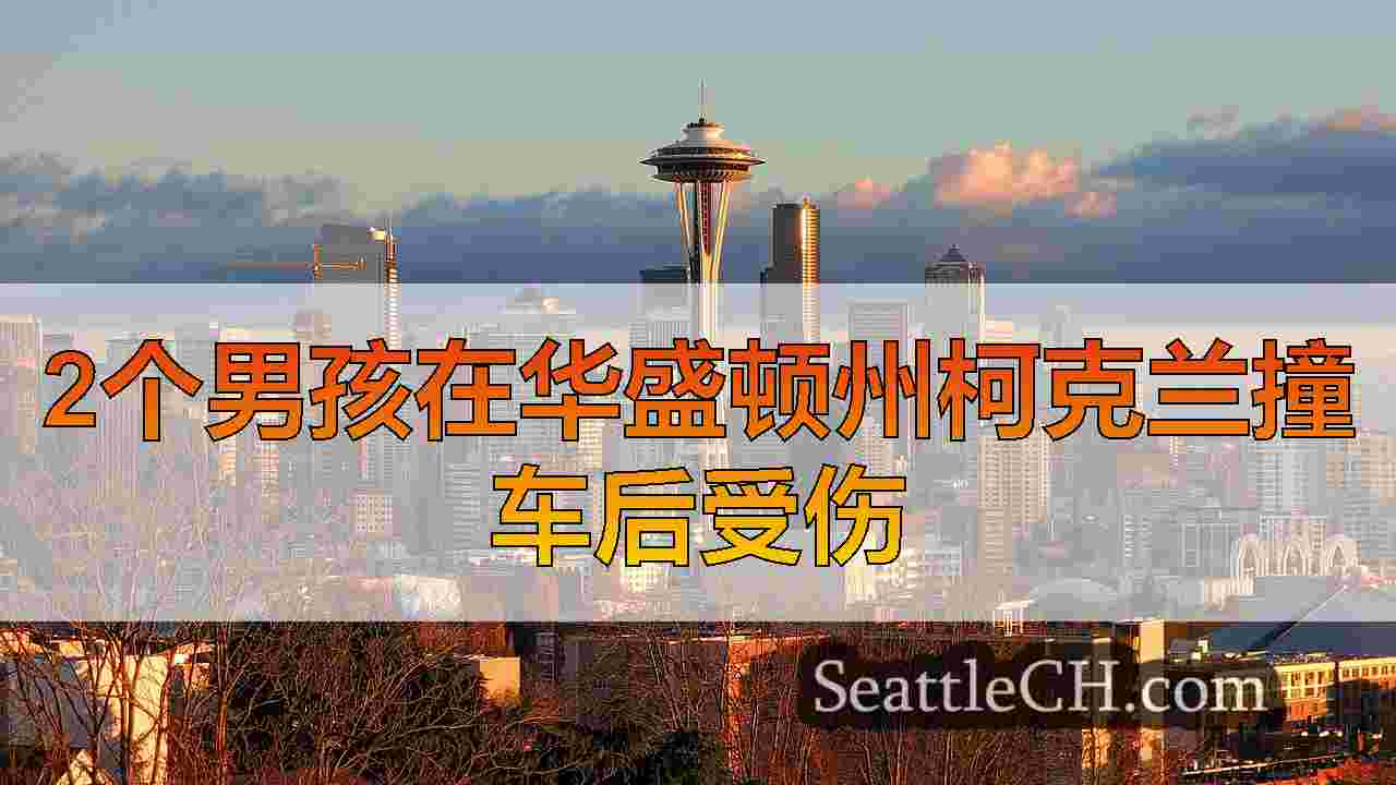 2个男孩在华盛顿州柯克兰撞车后受伤