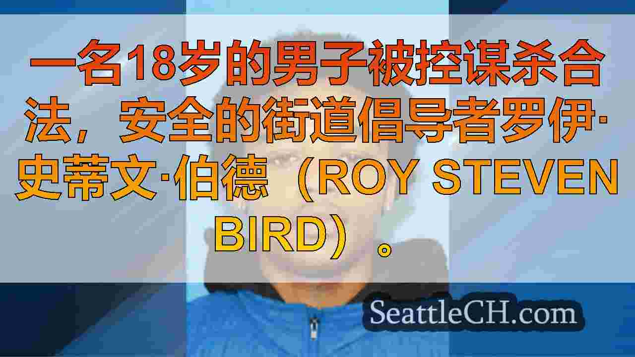 18岁的年轻人被控谋杀法律盲目的安全街道倡导者