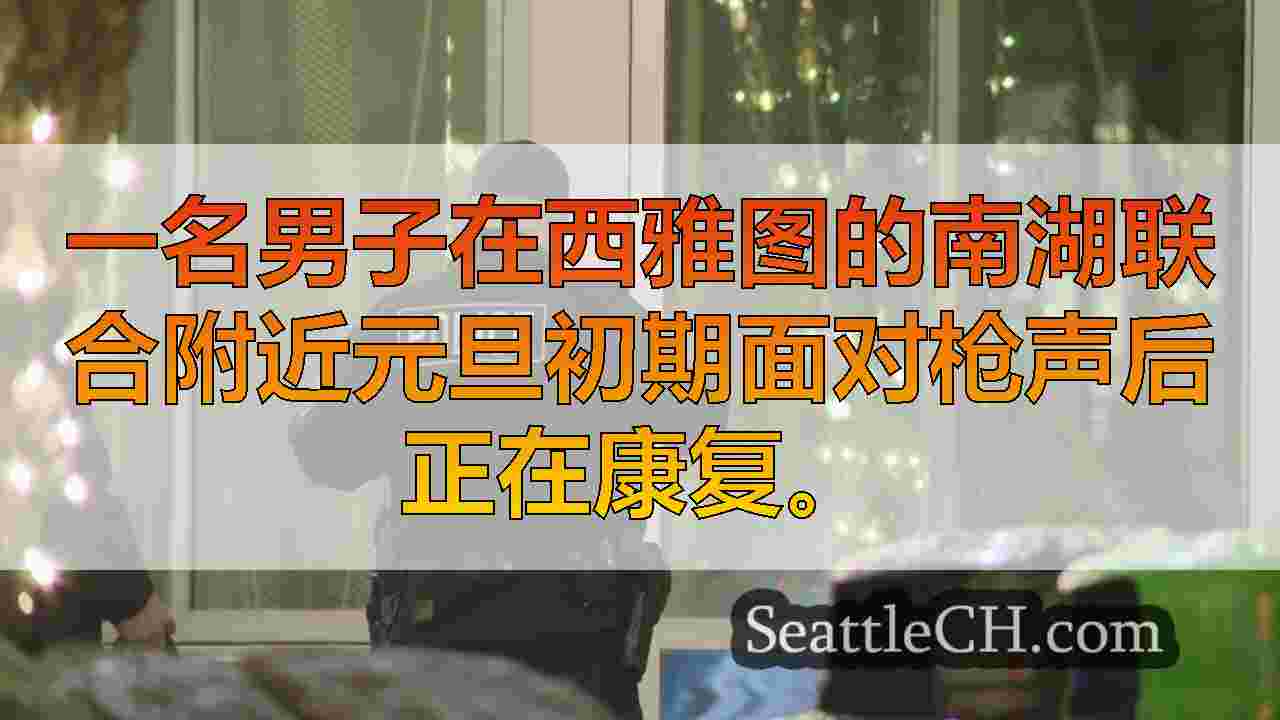 在南湖联盟的枪声冰雹期间，派对的男人离开派对