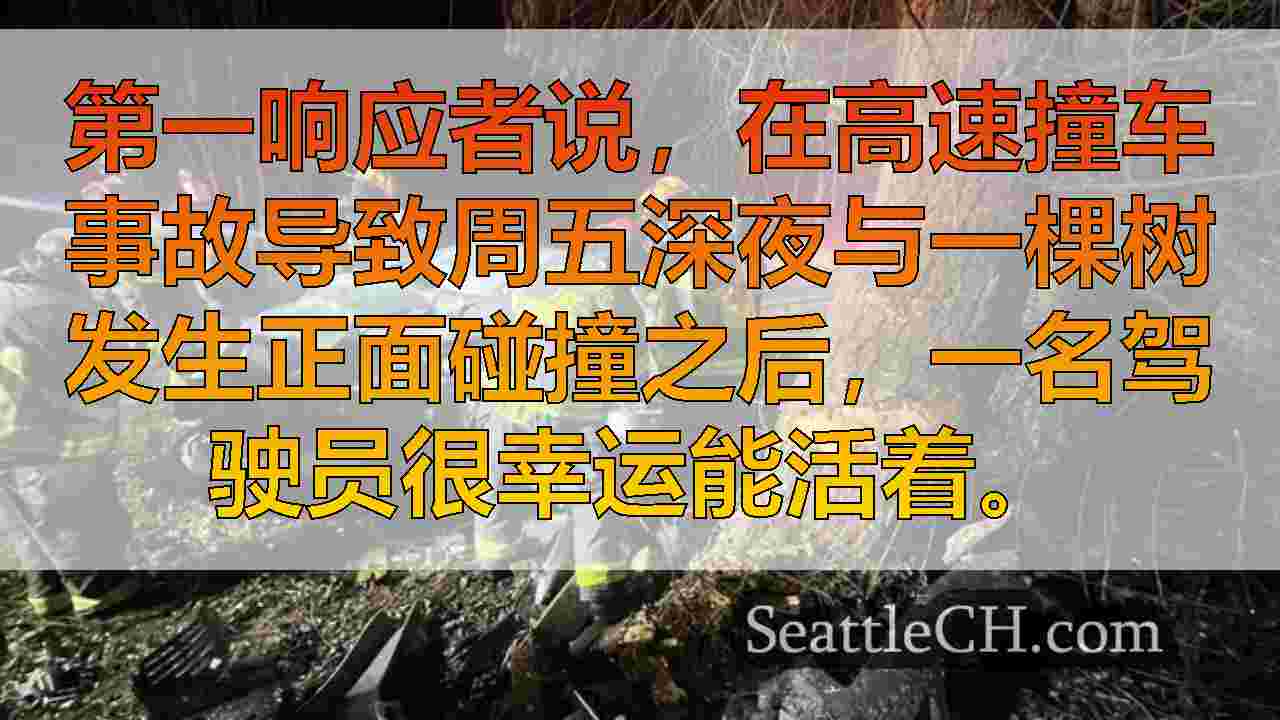 西雅图新闻 SeattleCH