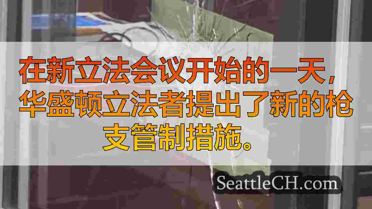 在奥林匹亚的立法者面前，北西雅图枪战的六张枪支管制账单