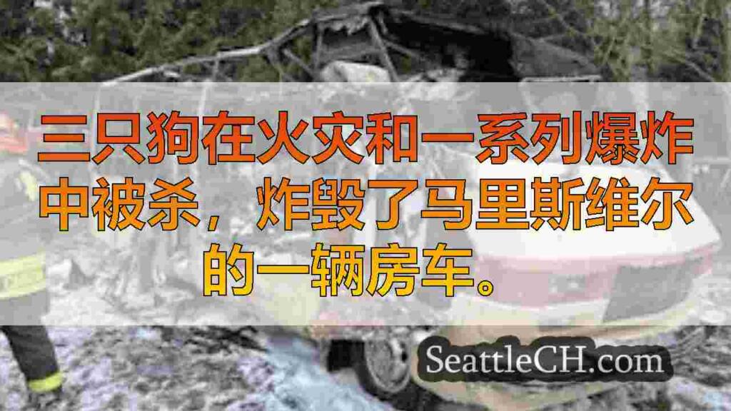 3只狗死了，房车在马里斯维尔火灾中被摧毁