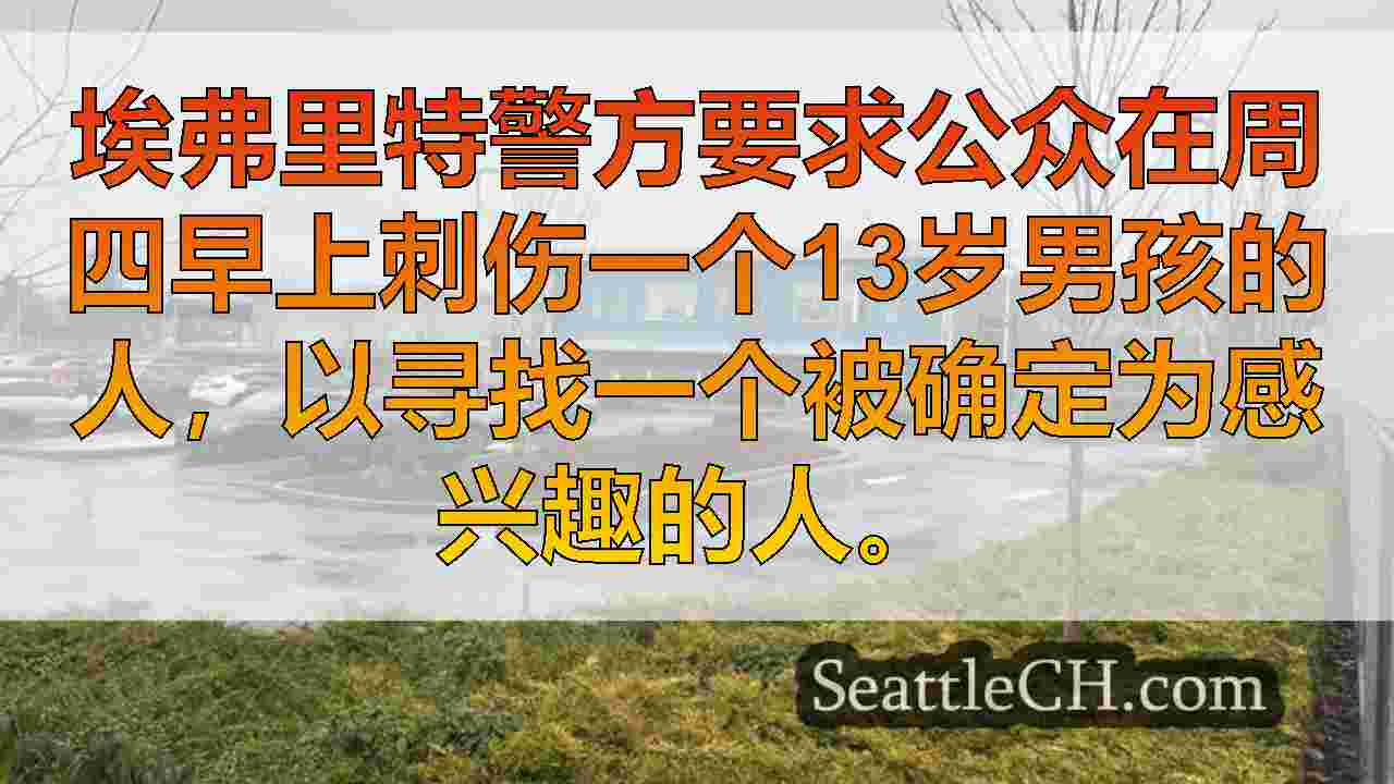 西雅图新闻 SeattleCH