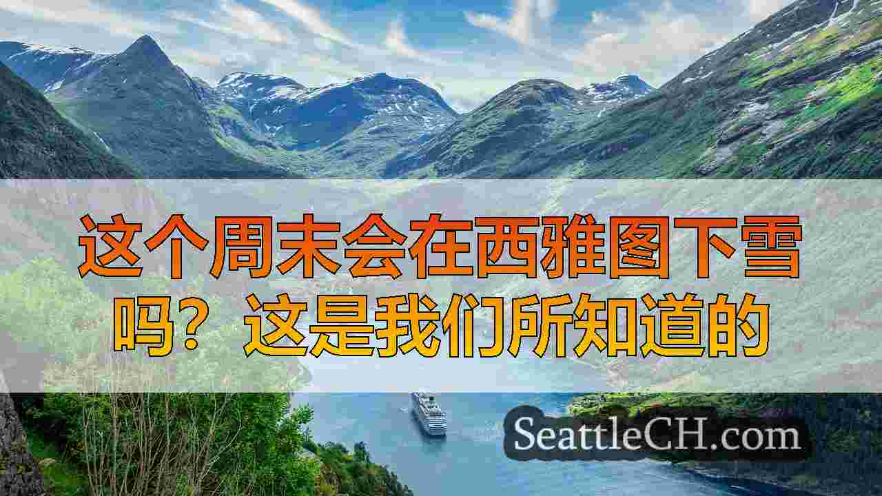 西雅图新闻 SeattleCH