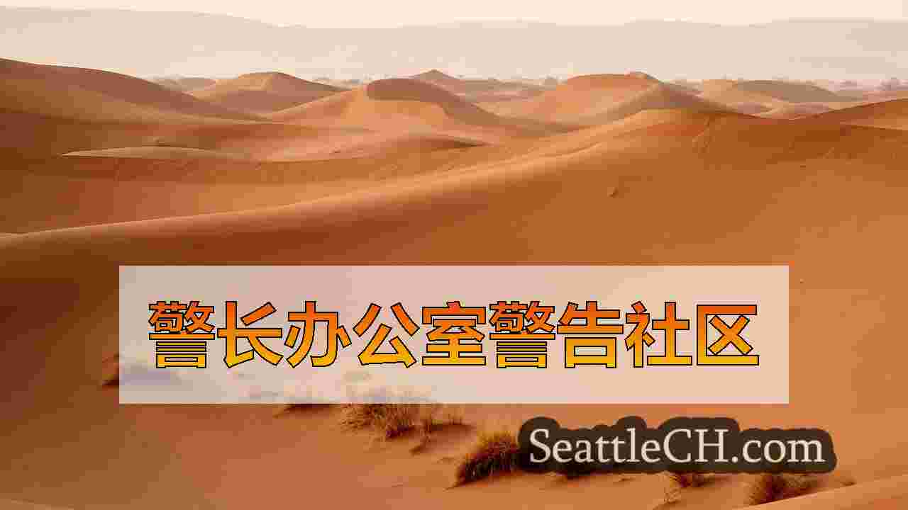 西雅图新闻 SeattleCH