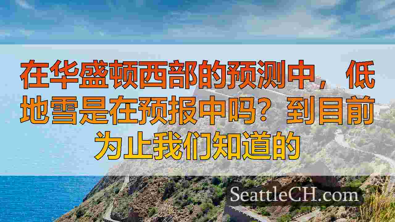 西雅图新闻 SeattleCH
