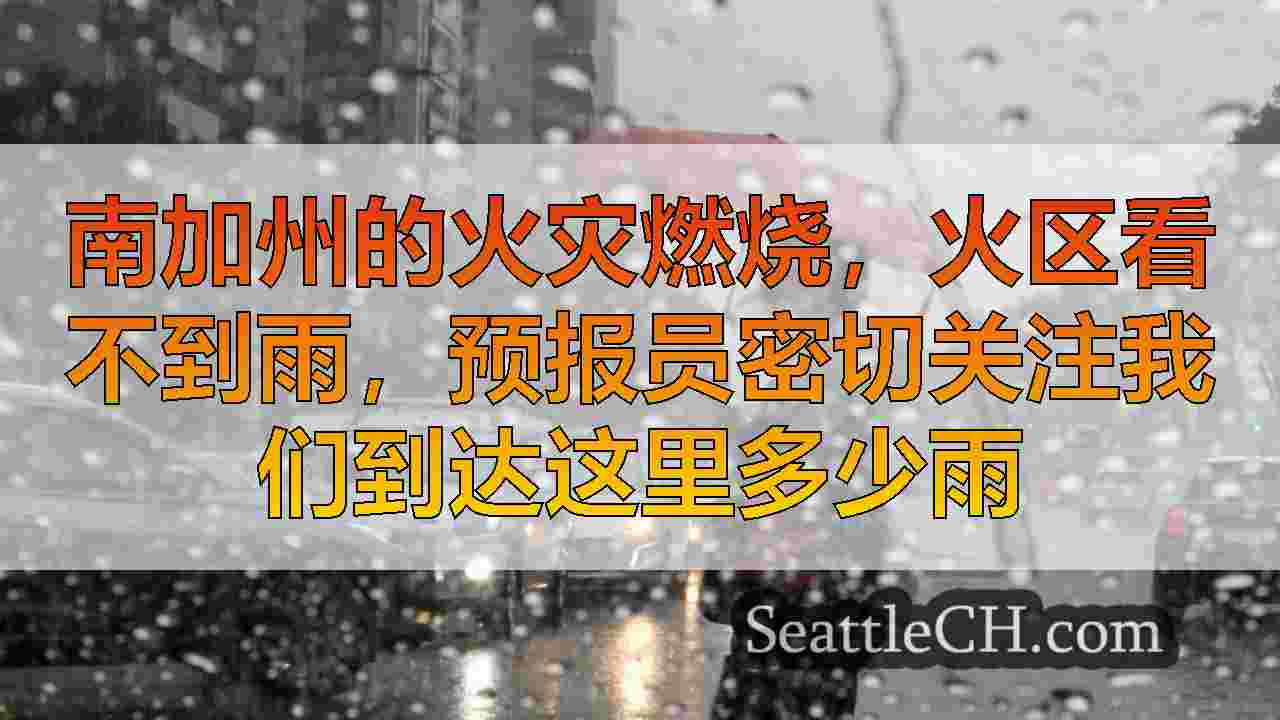 华盛顿西部的温度较低的牙套，一月下旬混合降水