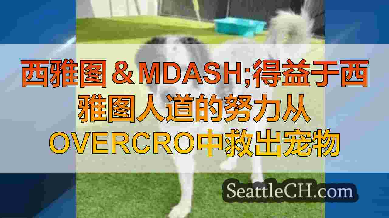 西雅图新闻 SeattleCH