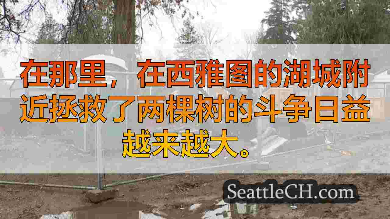 西雅图新闻 SeattleCH
