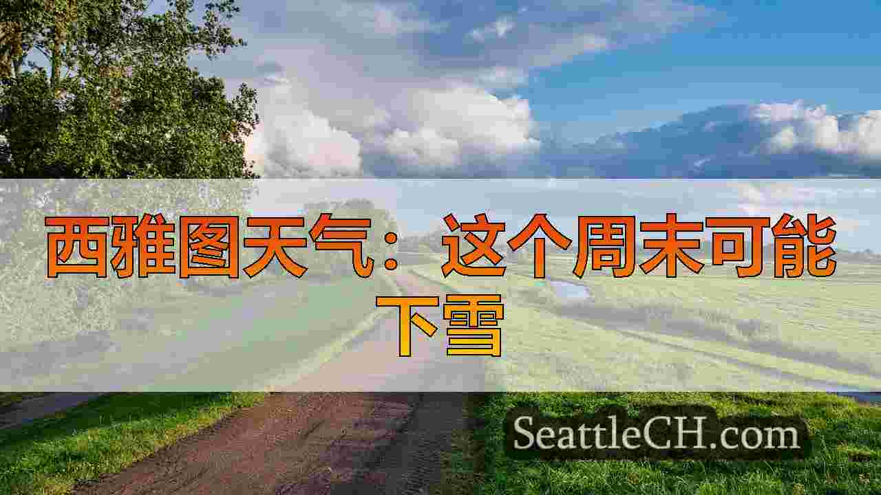西雅图新闻 SeattleCH