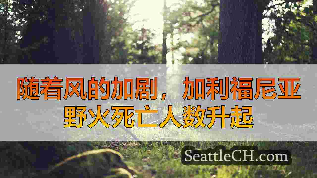 西雅图新闻 SeattleCH