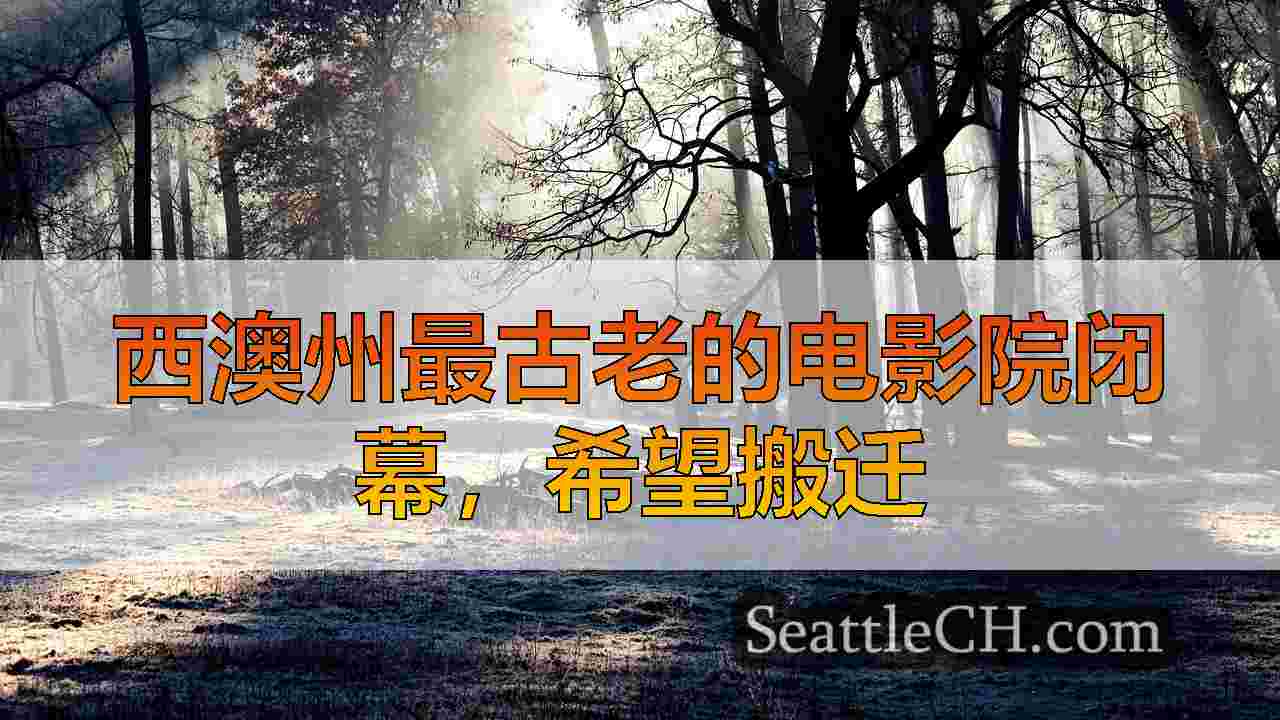 西雅图新闻 SeattleCH
