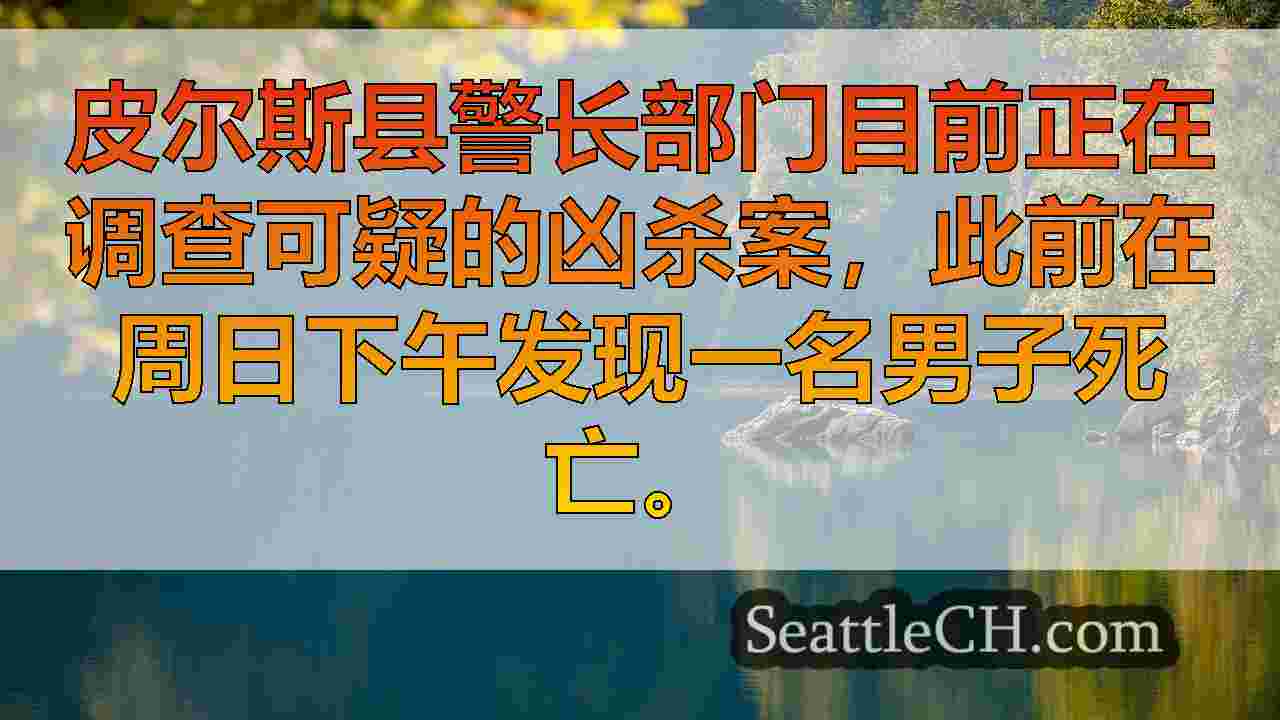 西雅图新闻 SeattleCH