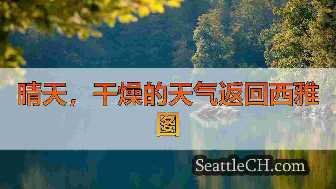 西雅图新闻 SeattleCH