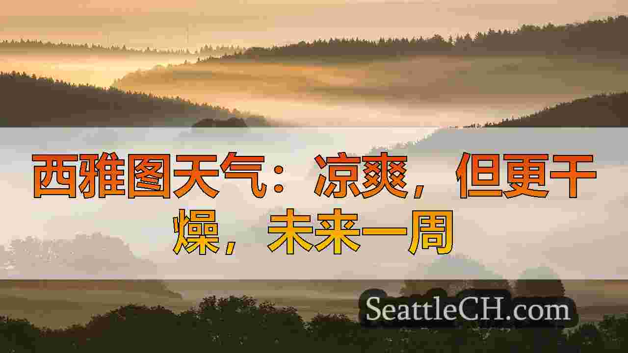 西雅图新闻 SeattleCH