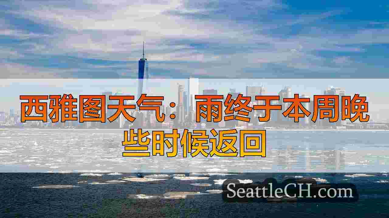 西雅图新闻 SeattleCH