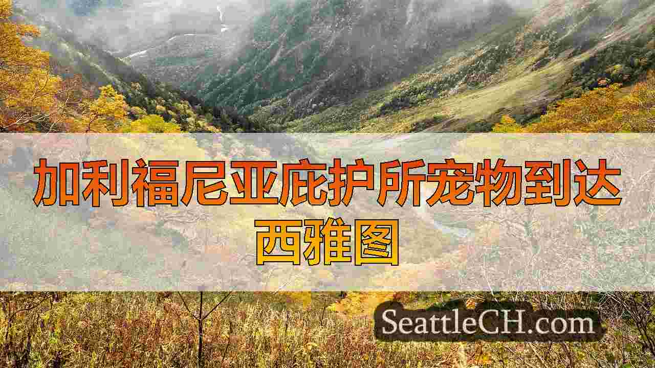 西雅图新闻 SeattleCH