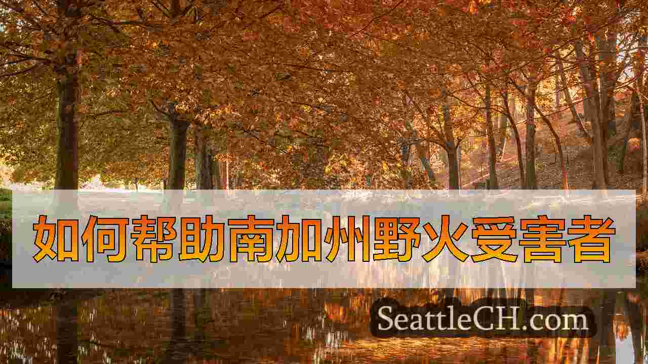 LA FIRES遏制更新：消防员在有大风条件下的增长