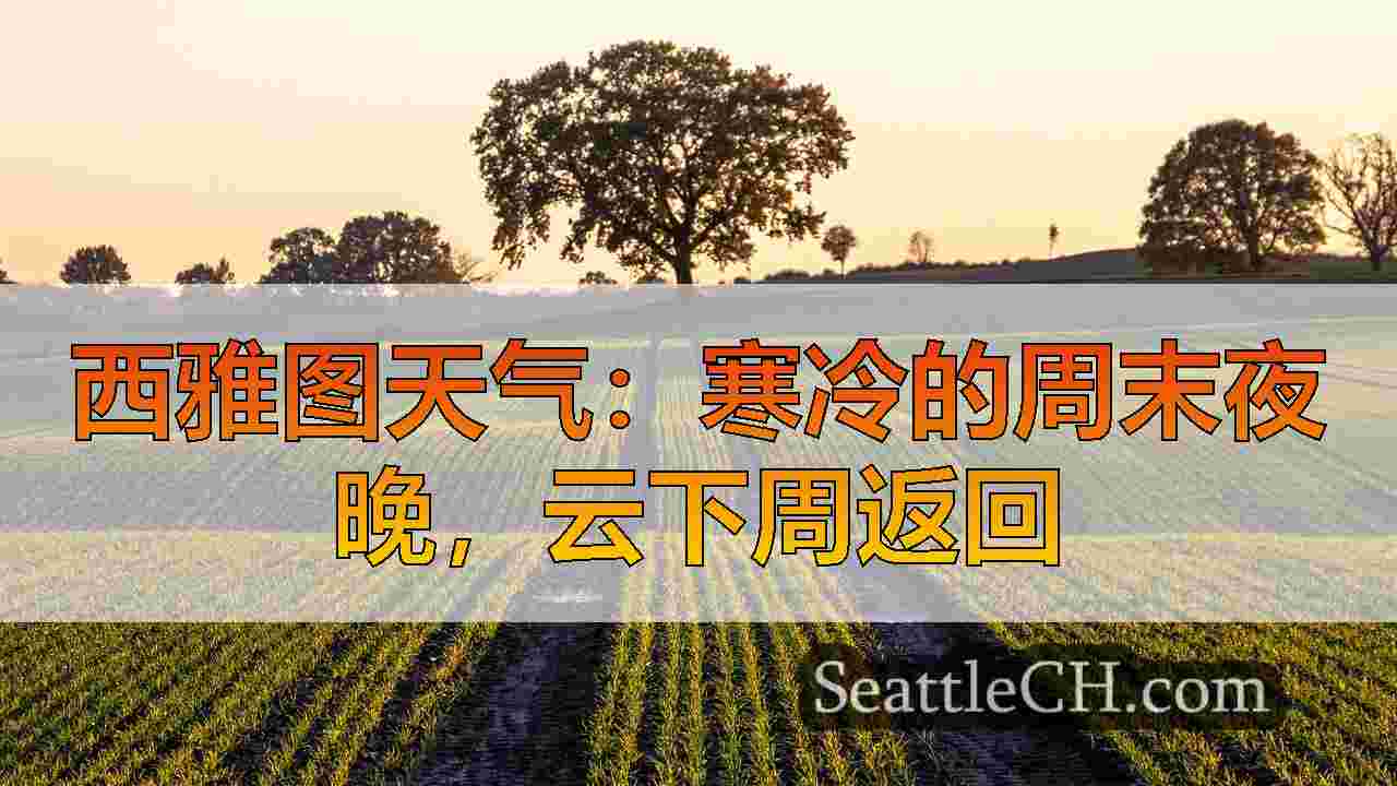 西雅图天气：寒冷的周末夜晚，云下周返回