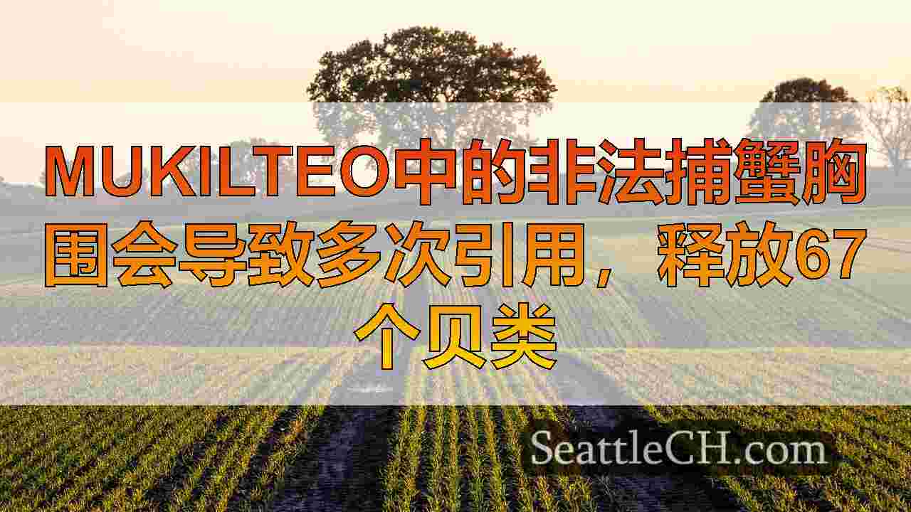 西雅图新闻 SeattleCH