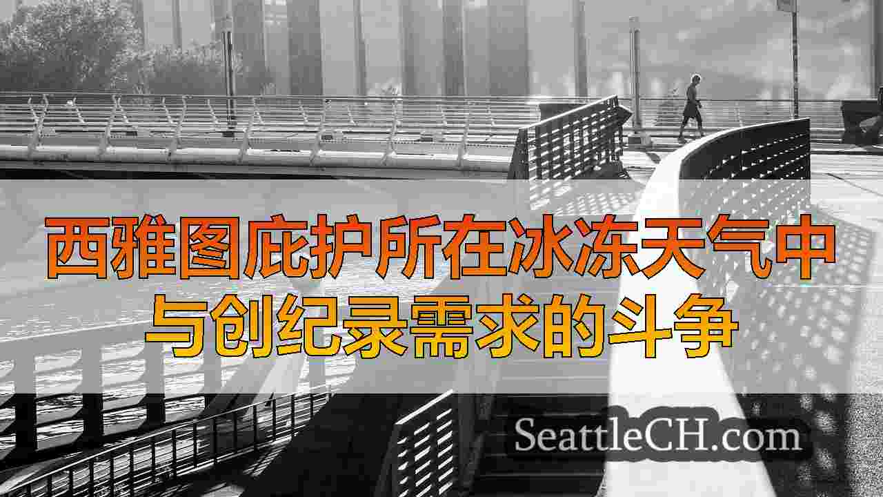 西雅图新闻 SeattleCH