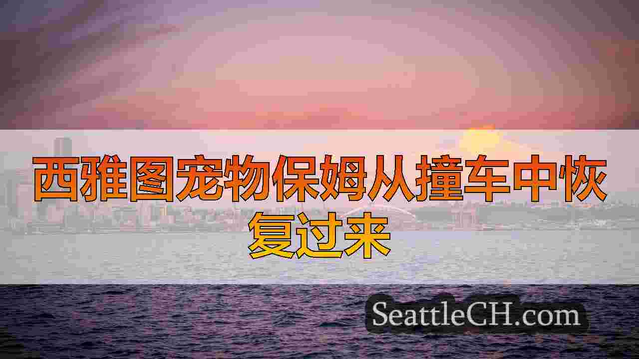 西雅图新闻 SeattleCH