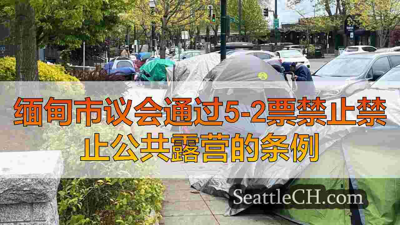 缅甸市议会通过5-2票禁止禁止公共露营的条例