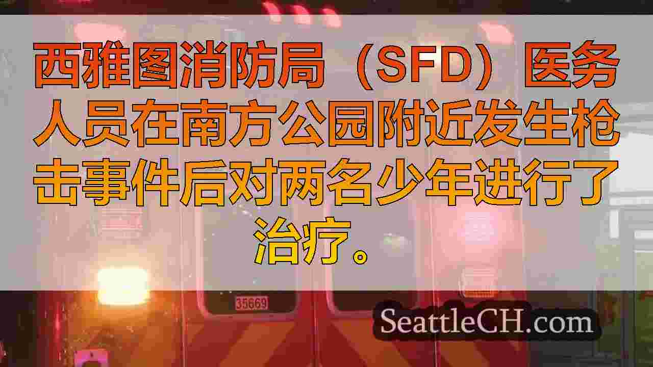 两名少年在西雅图的南方公园射击后住院