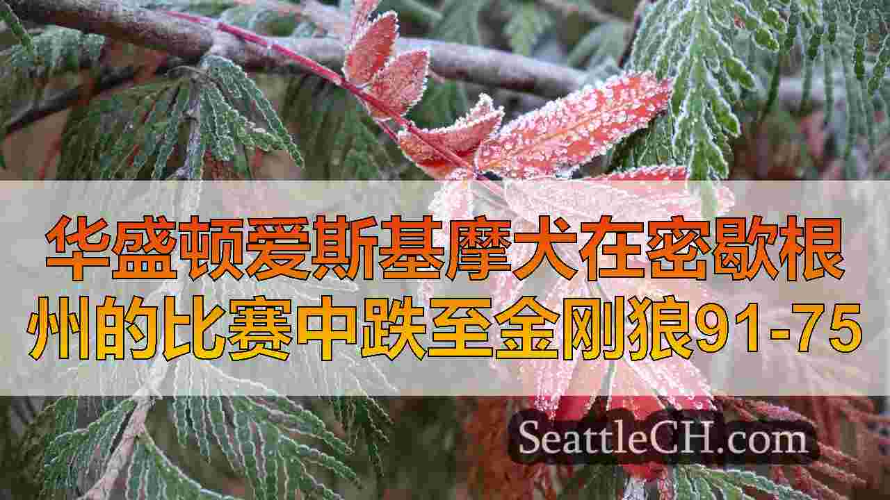 西雅图新闻 SeattleCH