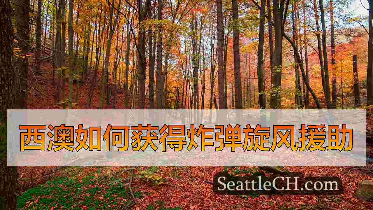 西雅图新闻 SeattleCH