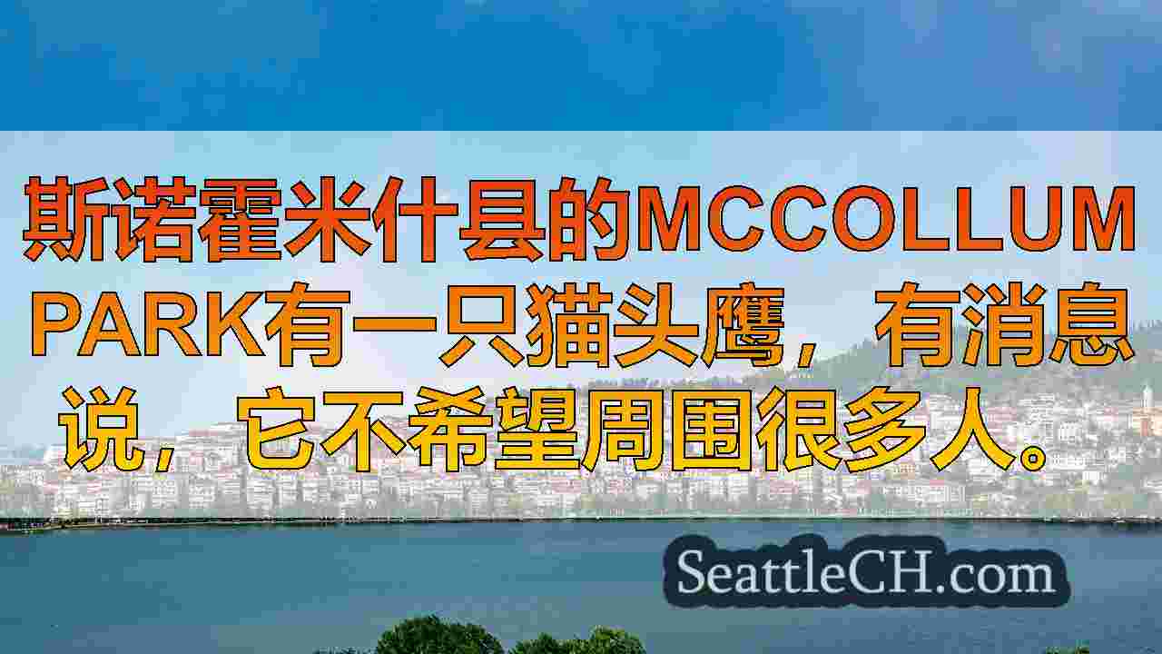 西雅图新闻 SeattleCH