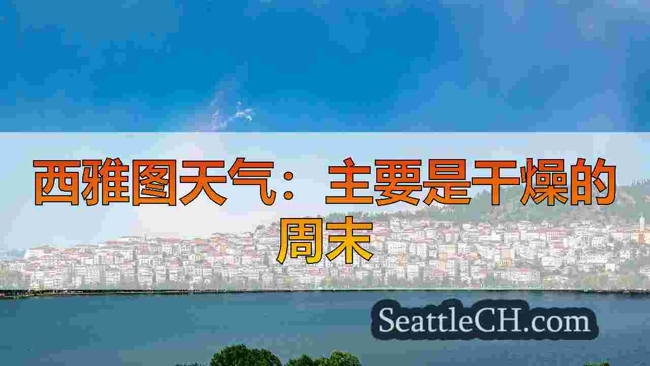 西雅图新闻 SeattleCH