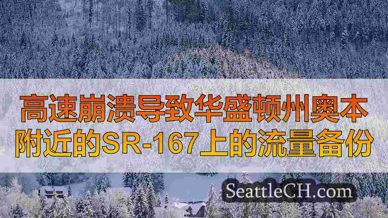 西雅图新闻 SeattleCH
