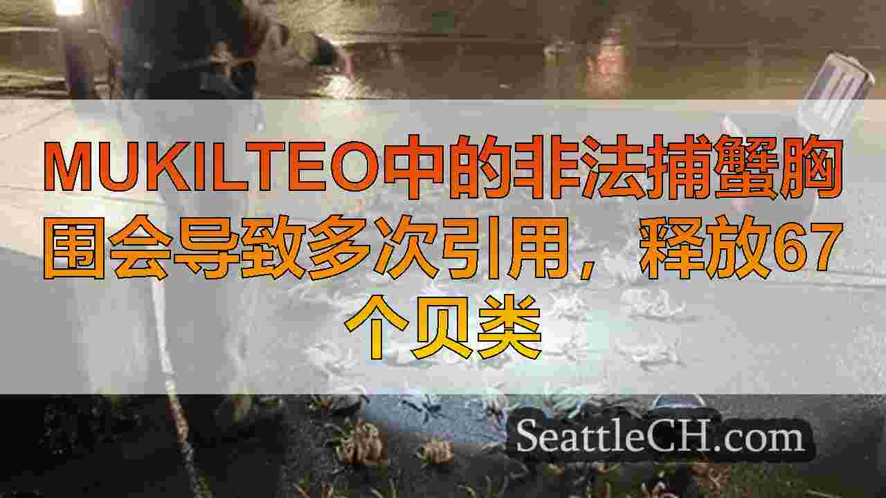 Mukilteo中的非法捕蟹胸围会导致多次引用，释放67个贝类