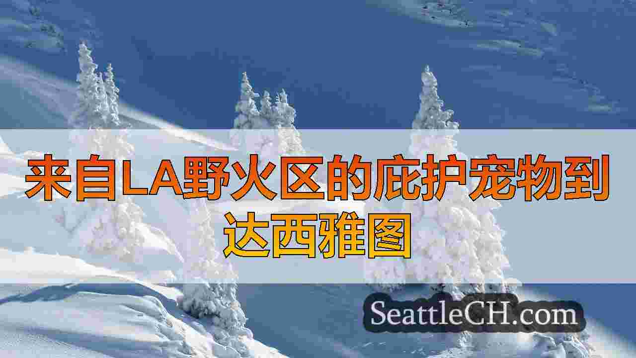 西雅图新闻 SeattleCH