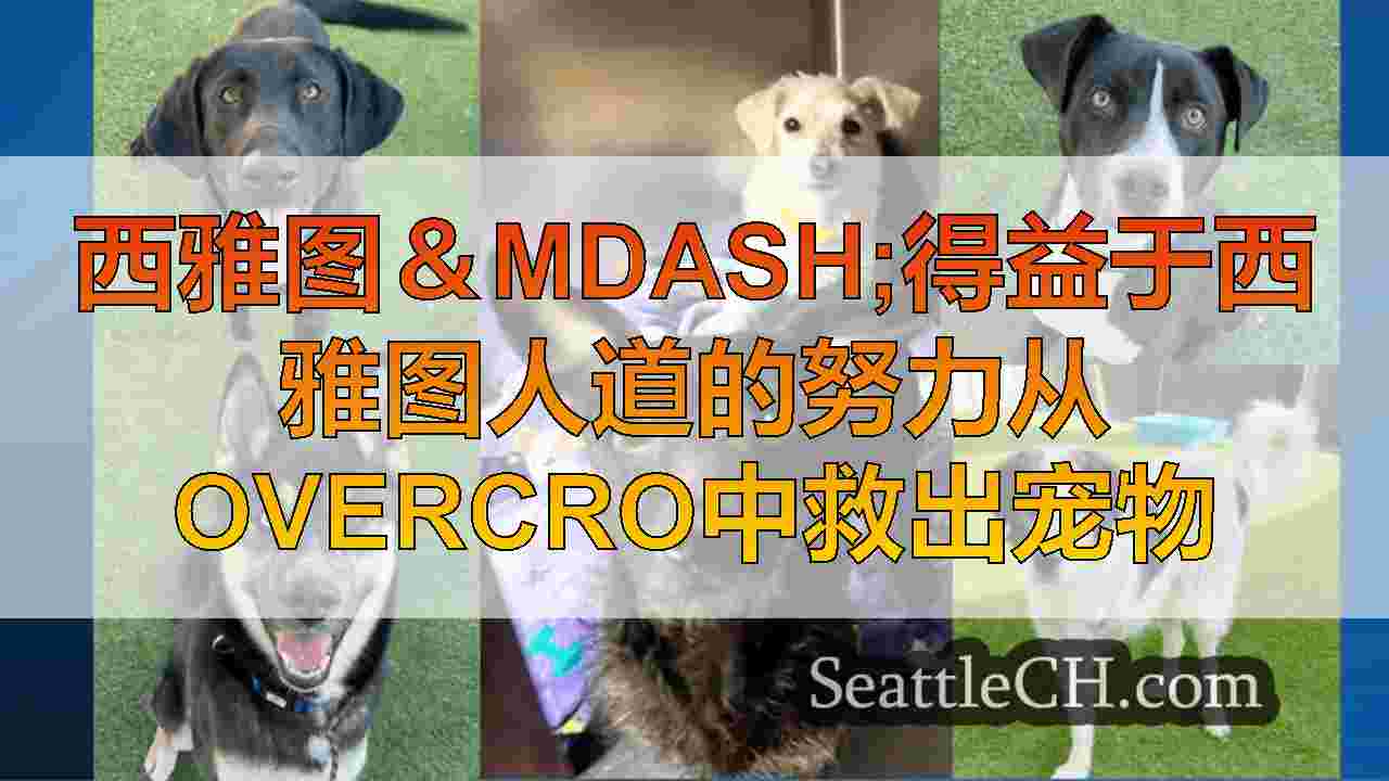 超过60多个洛杉矶野火拆散的动物通过救援飞行在西雅图找到避难所