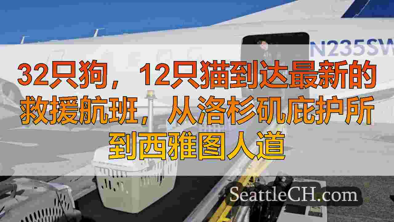 32只狗，12只猫到达最新的救援航班，从洛杉矶庇护所到西雅图人道