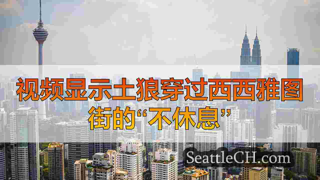 西雅图新闻 SeattleCH