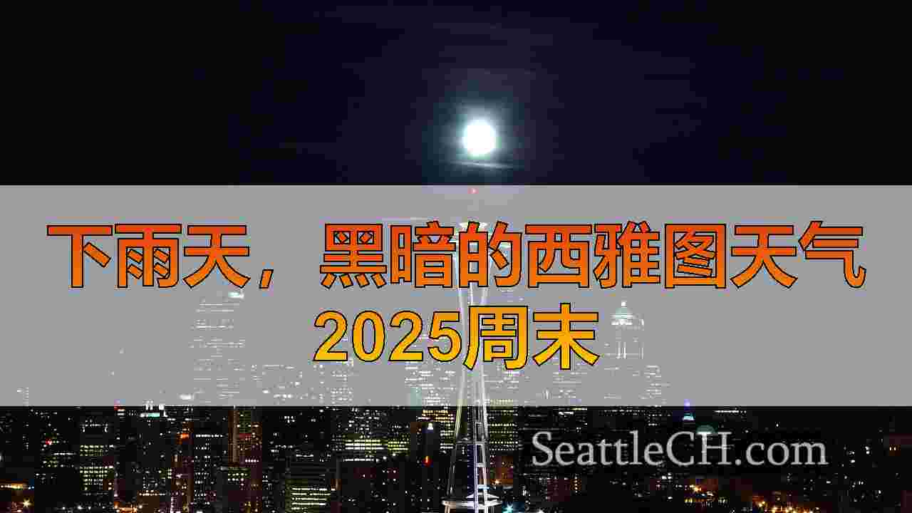 2025年第一个周末，西雅图的多雨，灰色天气