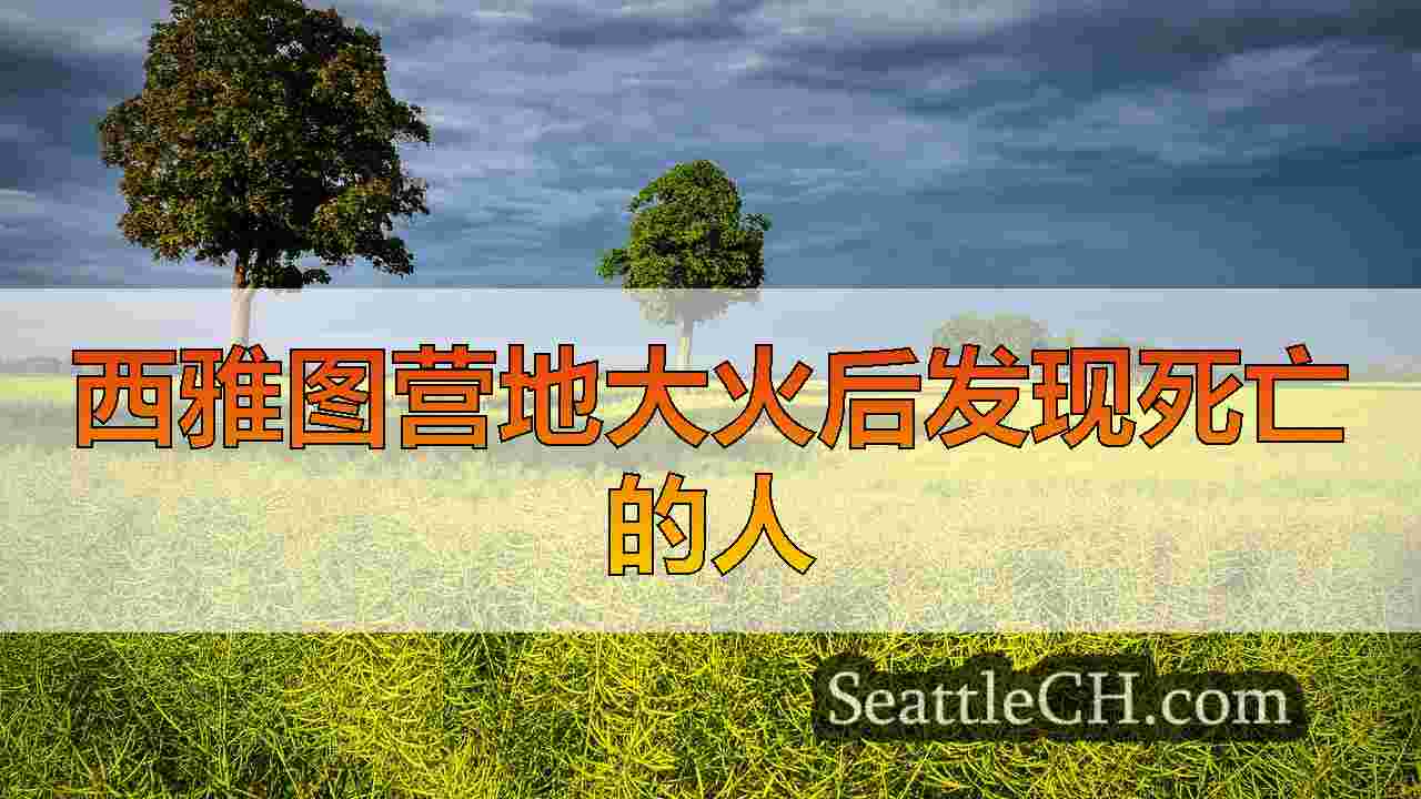西雅图新闻 SeattleCH
