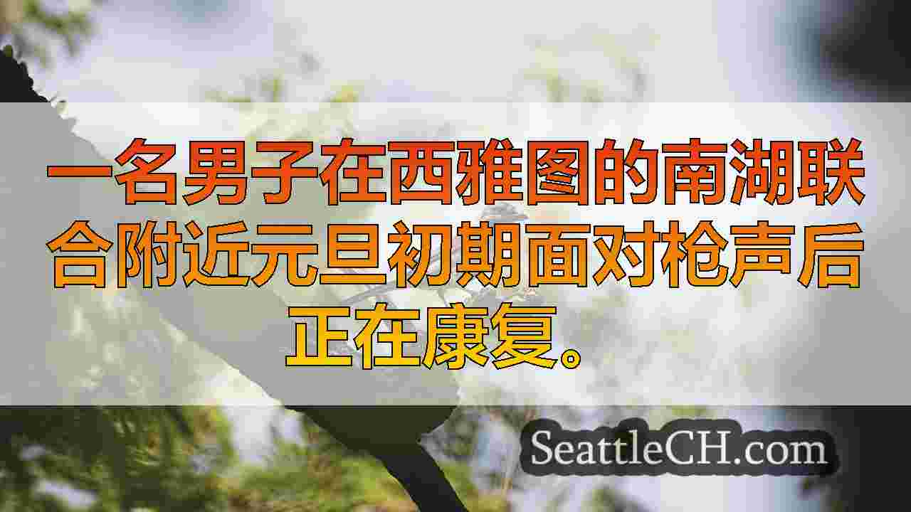 西雅图新闻 SeattleCH