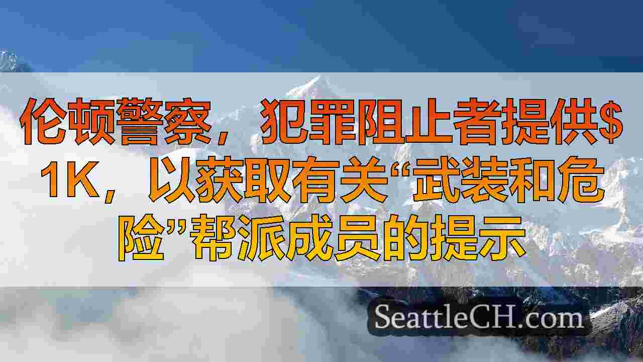 西雅图新闻 SeattleCH