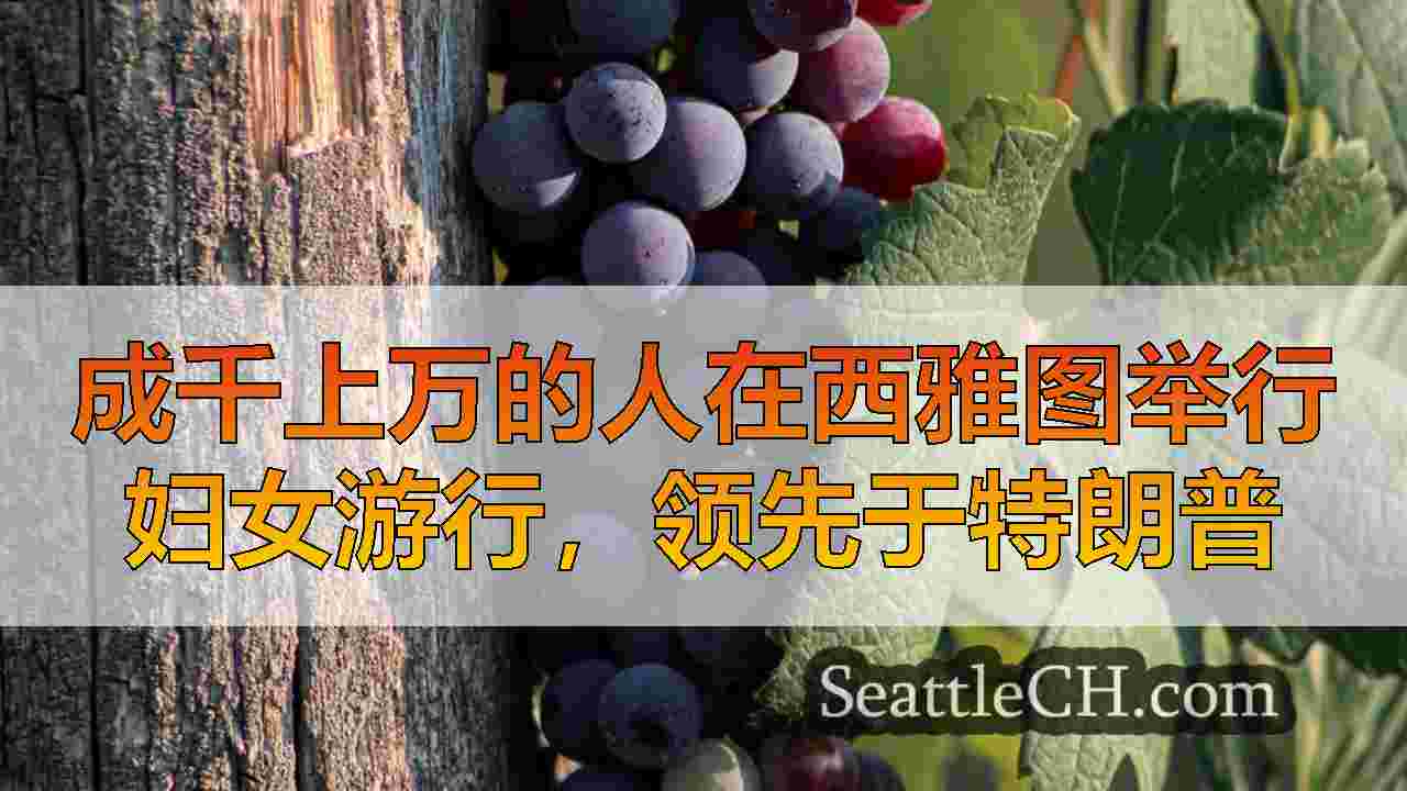 在特朗普就职典礼之前，成千上万的在西雅图举行的妇女游行集会