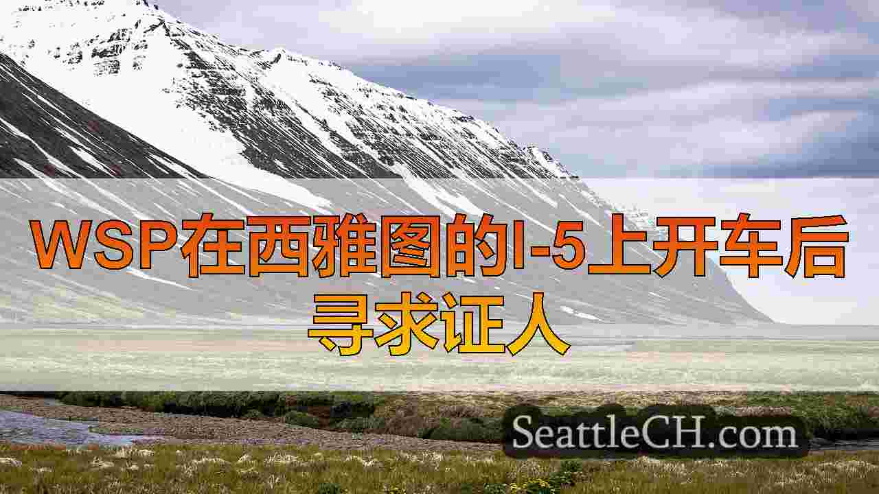 西雅图新闻 SeattleCH