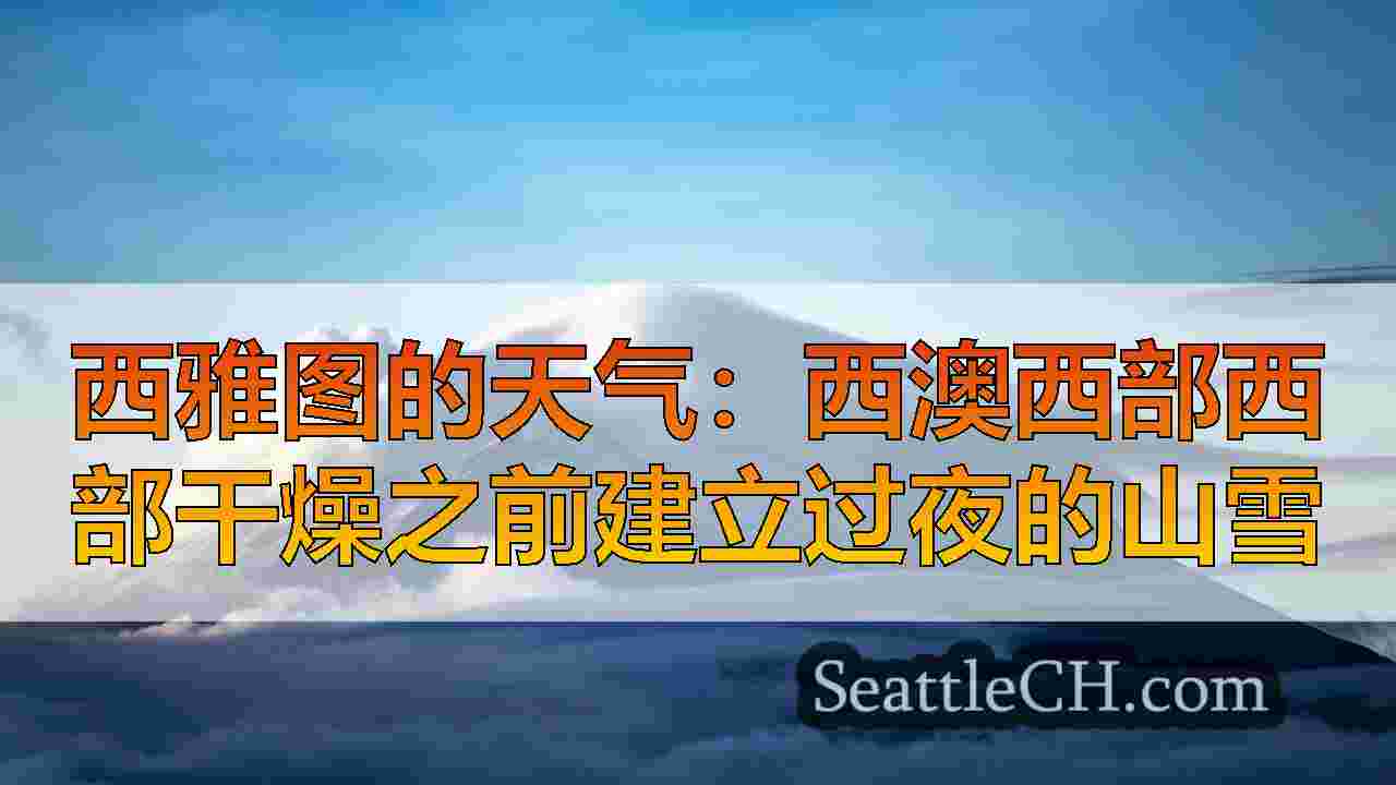 西雅图新闻 SeattleCH