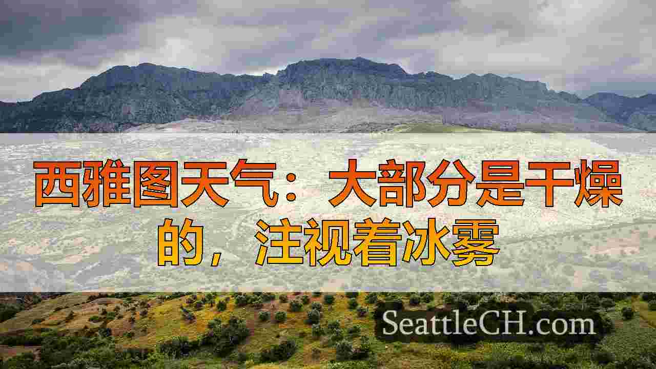 西雅图新闻 SeattleCH