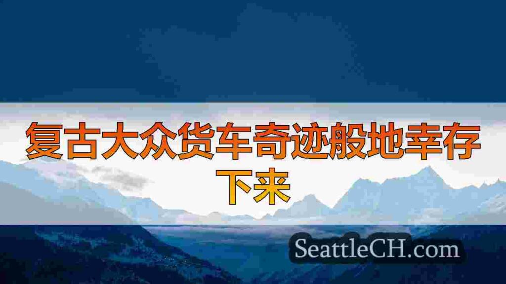 大众面包车以某种方式幸免于致命的洛杉矶大火：“希望的灯塔”