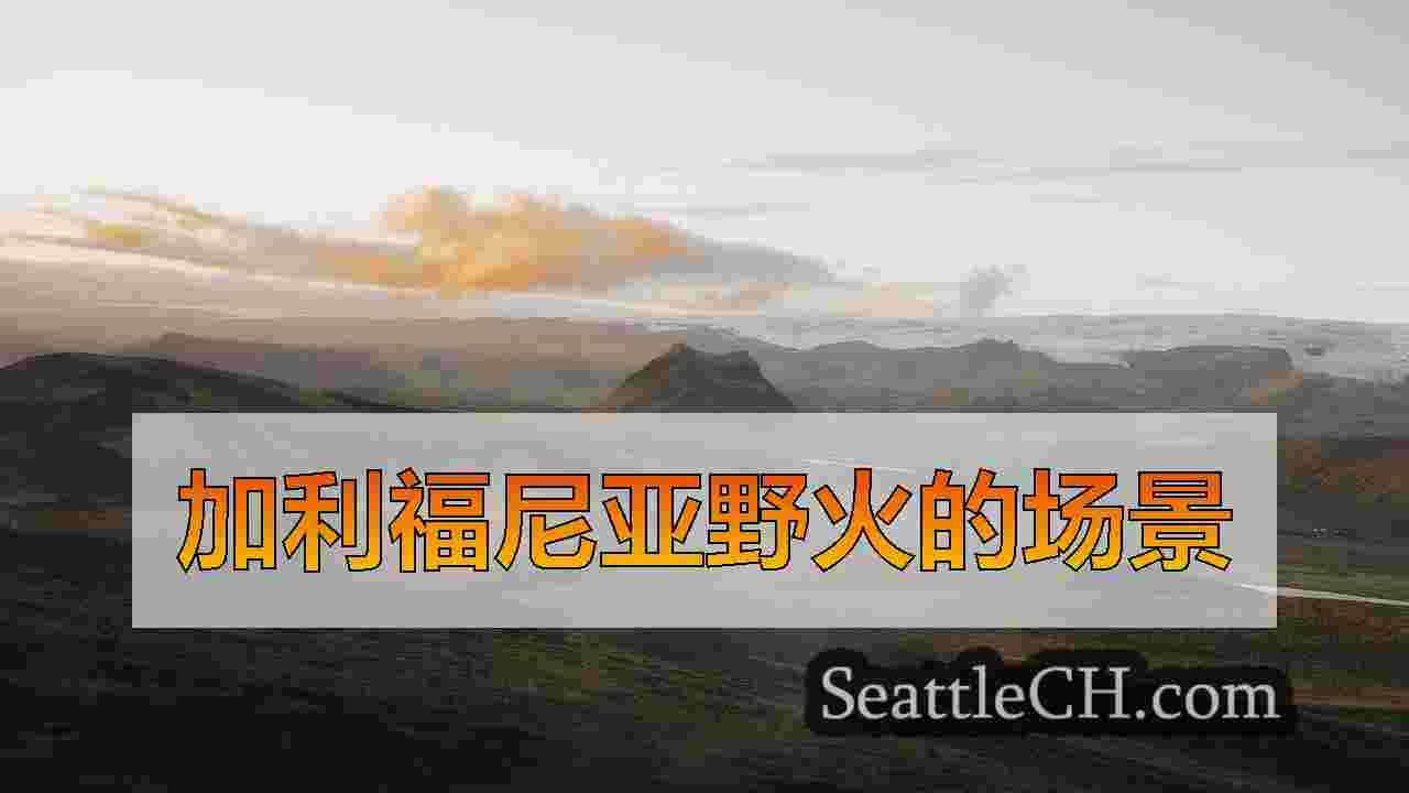 西雅图警察追捕疑似毒贩，抓住芬太尼和刀