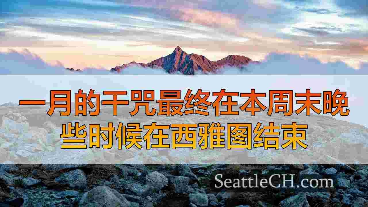 西雅图新闻 SeattleCH